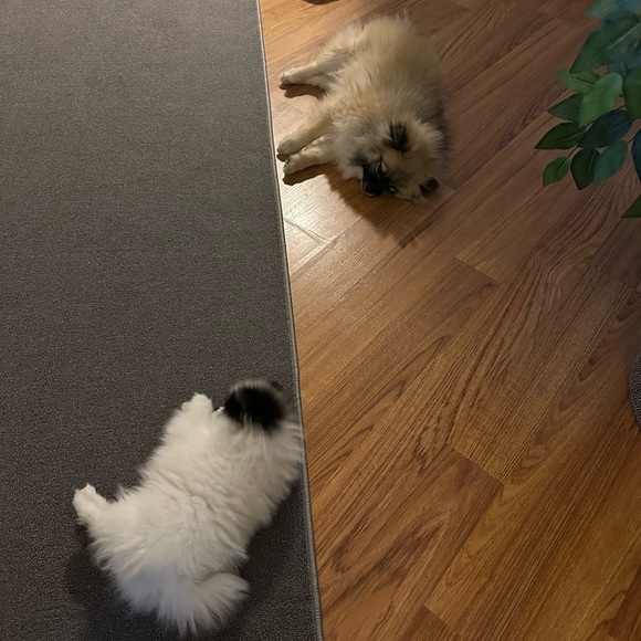 ❤️LOVES OFFERS ❤️! - Picture 2 of 16